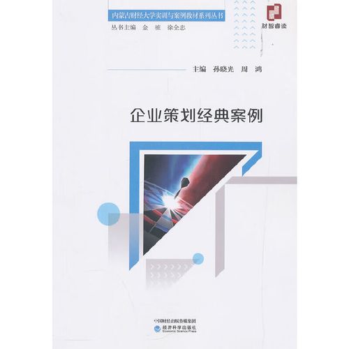 企业策划经典案例深度解析 从创意到商业价值的完整路径